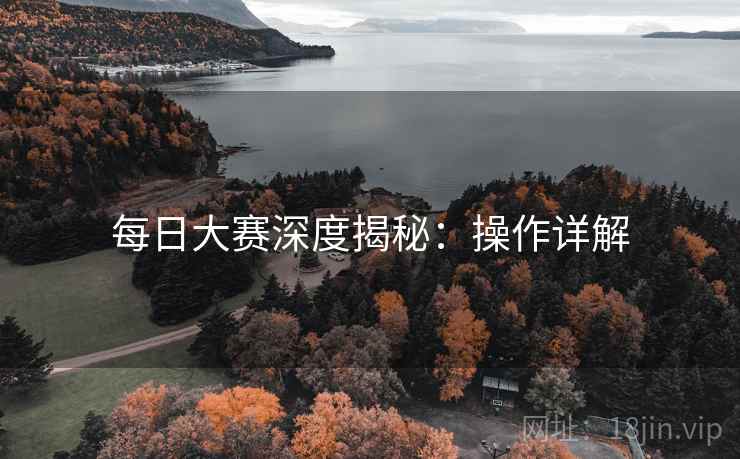 每日大赛深度揭秘：操作详解