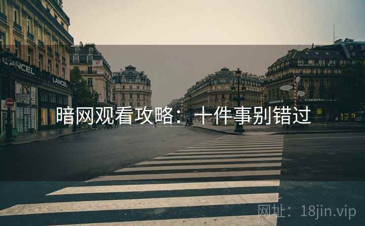 暗网观看攻略：十件事别错过