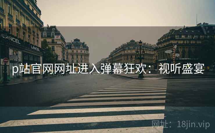p站官网网址进入弹幕狂欢：视听盛宴