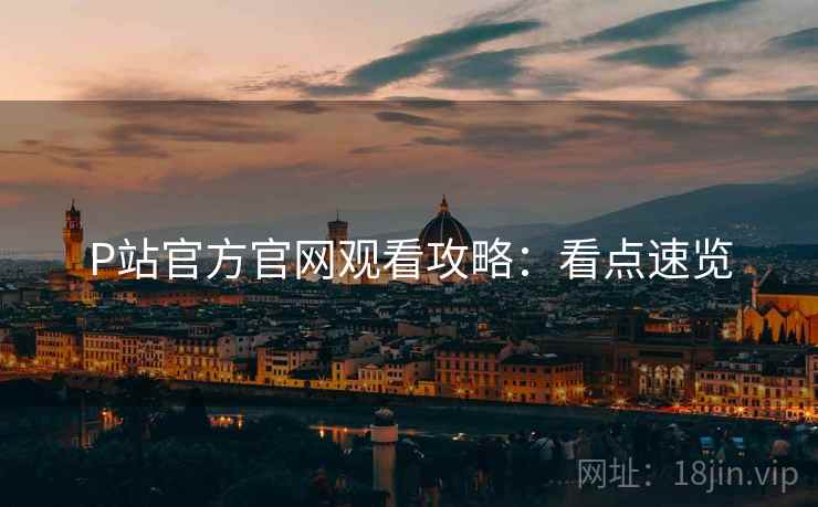 P站官方官网观看攻略：看点速览