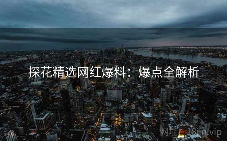 探花精选网红爆料：爆点全解析