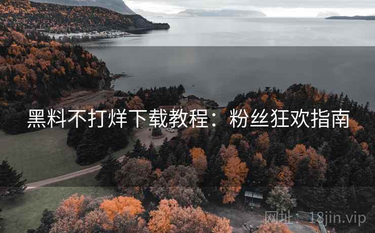 黑料不打烊下载教程：粉丝狂欢指南
