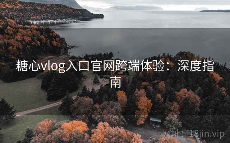糖心vlog入口官网跨端体验：深度指南